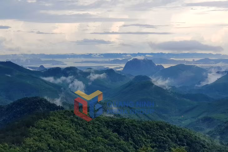 Núi rừng Kỳ Thượng. Ảnh: Đỗ Phương