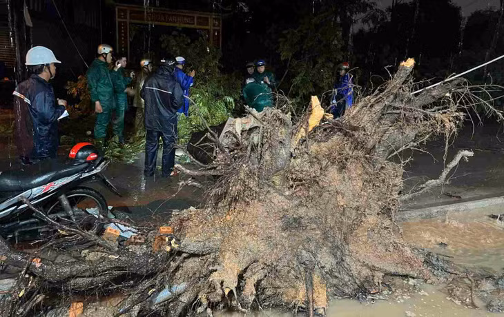 Hiện trường cây xanh ngã đổ. Ảnh: Dương Bình
