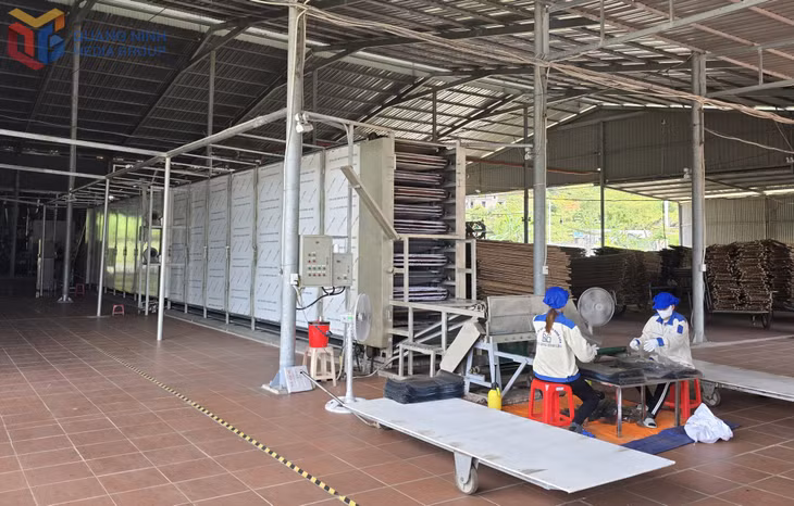 Hệ thống máy tráng sấy dẻo và lò hơi hiện đại được Công ty CP Thương mại và Dịch vụ Bình Liêu áp dụng vào nâng cao chất lượng chế biến miến dong. Ảnh: Đỗ Hùng.