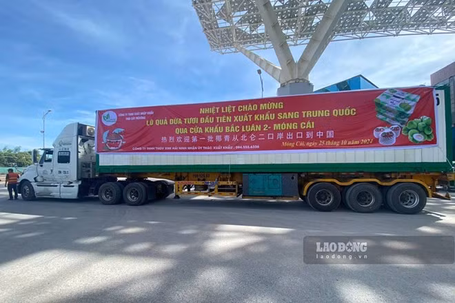 23,5 tấn dừa tươi xuất khẩu sang Trung Quốc qua Cửa khẩu Bắc Luân 2, TP Móng Cái, Quảng Ninh, ngày 25.10.2024. Ảnh: Đoàn Hưng