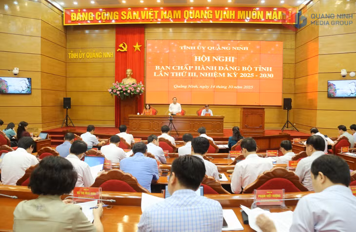 Hội nghị Ban Chấp hành Đảng bộ tỉnh.