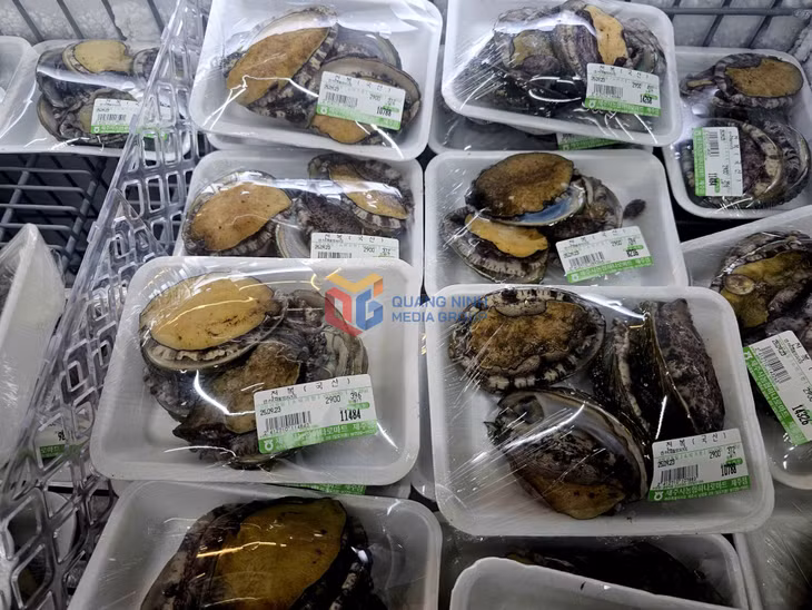 Hải sản ở Jeju nhiều và ngon. 