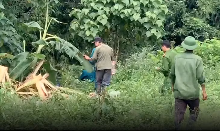Lực lượng chức năng tìm thấy thi thể ông M.V.T. ở bìa rừng, bên cạnh có dấu chân nghi của voi rừng - Ảnh: H.T.