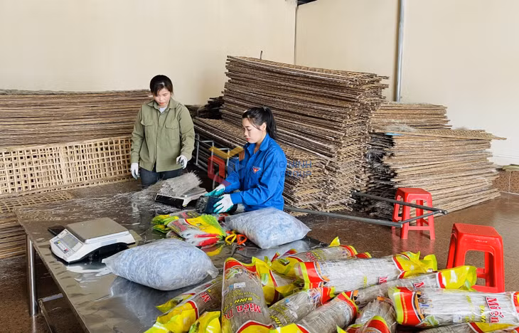Sản phẩm miến dong Bình Liêu của Công ty CP Thương mại và dịch vụ Bình Liêu được công nhận đạt chuẩn OCOP quốc gia (hạng 5 sao) năm 2025.