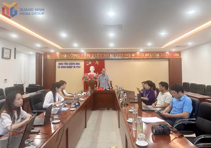 Quang cảnh buổi khảo sát.