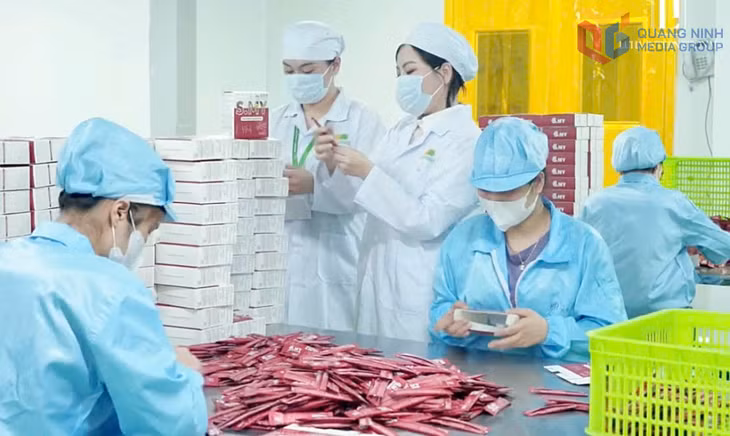 Phòng kiểm nghiệm và đóng gói dòng sản phẩm Hà Thảo Mộc, Công ty TNHH Luha International (phường Hạ Long).