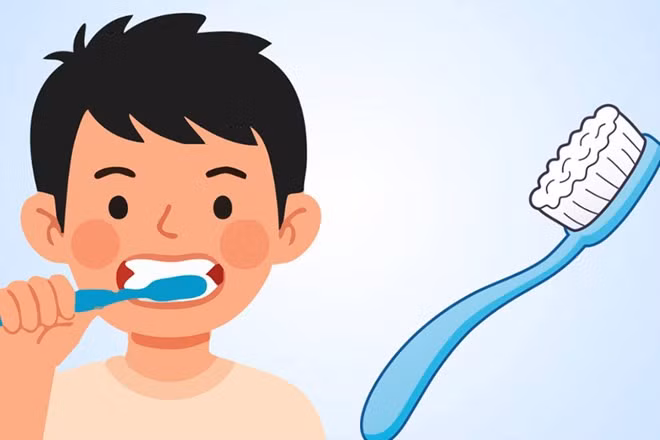 Thay bàn chải đánh răng đúng cách để bảo vệ răng miệng. Đồ họa: Thiện Nhân