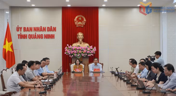 Các đồng chí lãnh đạo tỉnh và đại diện lãnh đạo các sở, ban, ngành dự lễ phát động tại điểm cầu UBND tỉnh Quảng Ninh.