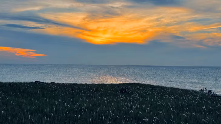 Nhóm anh Tố Đen có thuê thêm hướng dẫn viên và dân lặn biển địa phương, không chỉ tắm biển, cắm trại ngắm cảnh, du khách cũng được lặn ngắm san hô cùng nhiều loài sinh vật biển sống động khác. Ngoài ngắm bình minh, hoàng hôn trên biển, ở Hòn Dứa du khách mang đèn pin có thể khám phá thêm về thế giới biển ban đêm. Theo anh Tố Đen, sau bữa tối không gian xung quanh tĩnh lặng, nhóm anh soi đèn quan sát được rất nhiều cá bống ngựa, và bào ngư ở các bờ đá sát nước biển.