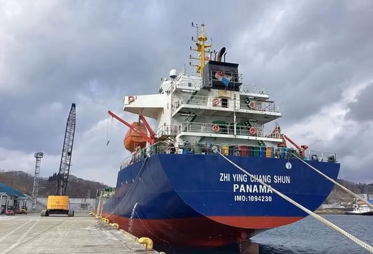 Tàu Zhi Ying Chang Shun, quốc tịch Panama, bị bắt giữ tại cảng Quy Nhơn, Gia Lai - Ảnh: VKSND tỉnh Gia Lai