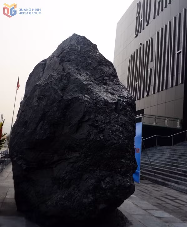 Khối than được phát hiện tại độ sâu - 176m, vỉa G2 moong Đông Thắng Lợi công trường xúc Tả Ngạn, Công ty CP Than Cọc Sáu có thể tích trên 22,2m3, trọng lượng khoảng 28 tấn, được đưa về trưng bày, trở thành hiện vật ngoài trời của Bảo tàng Quảng Ninh từ năm 2014.