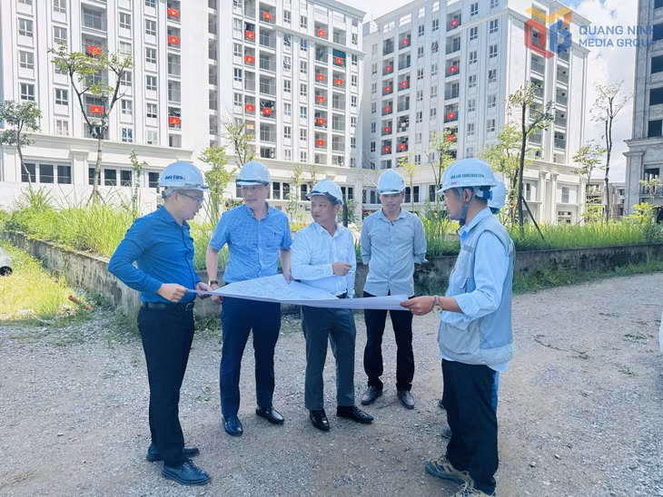 Chủ đầu tư