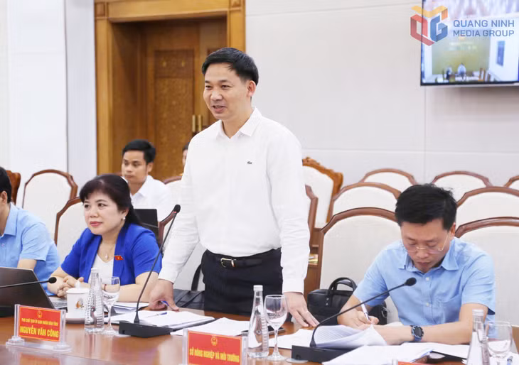 Đồng chí Nguyễn Văn Công, Phó Chủ tịch UBND tỉnh phát biểu tại buổi làm việc.