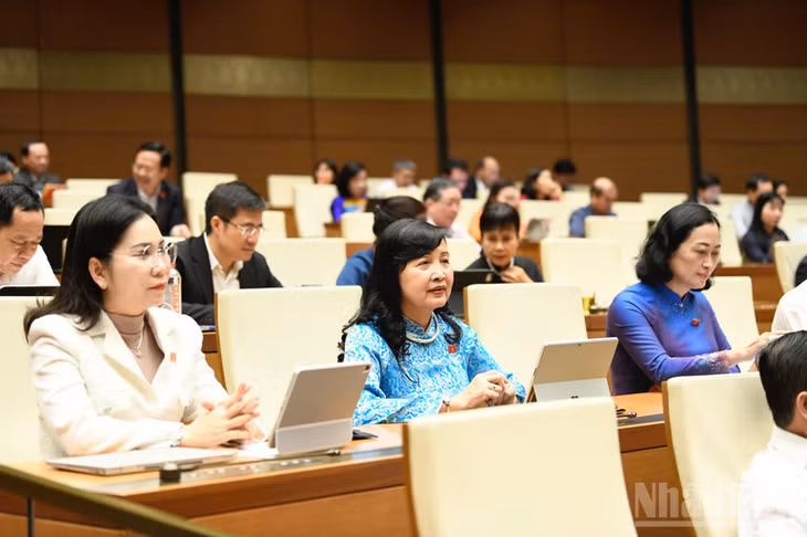 Các đại biểu Quốc hội dự phiên thảo luận về kinh tế-xã hội. (Ảnh: DUY LINH)