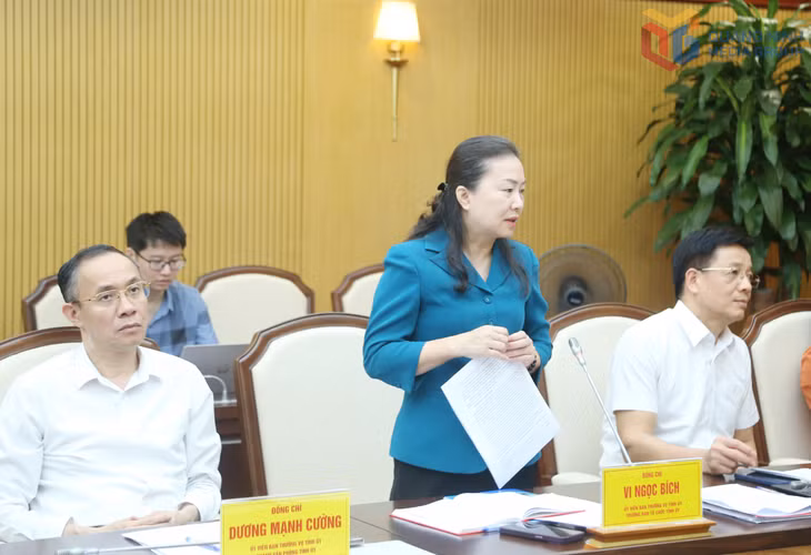 Đồng chí Vi Ngọc Bích, Trưởng Ban Tổ chức Tỉnh ủy, phát biểu tại cuộc họp.