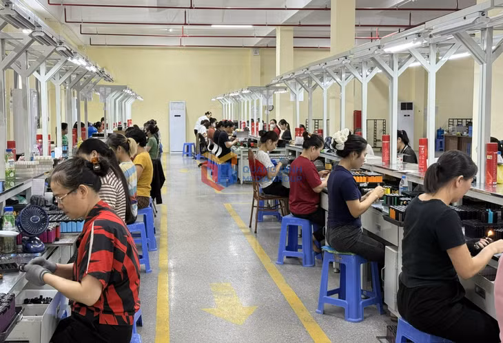 Đến thời điểm này Công ty TNHH Điện tử Vạn Lực Việt Nam đã hoàn thành kế hoạch sản xuất năm 2025.