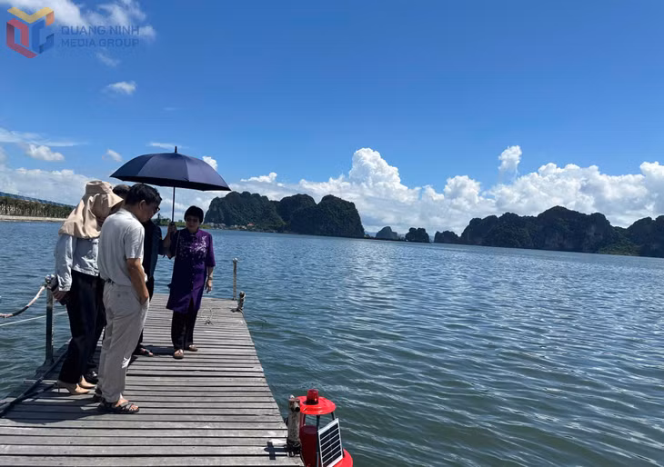 Ban Tổ chức hội thi Sáng tạo kỹ thuật tỉnh Quảng Ninh lần thứ X khảo sát hệ thống phao thông minh quan trắc tự động chất lượng nước biển ven bờ ứng dụng công nghệ IOT và năng lượng mặt trời. 