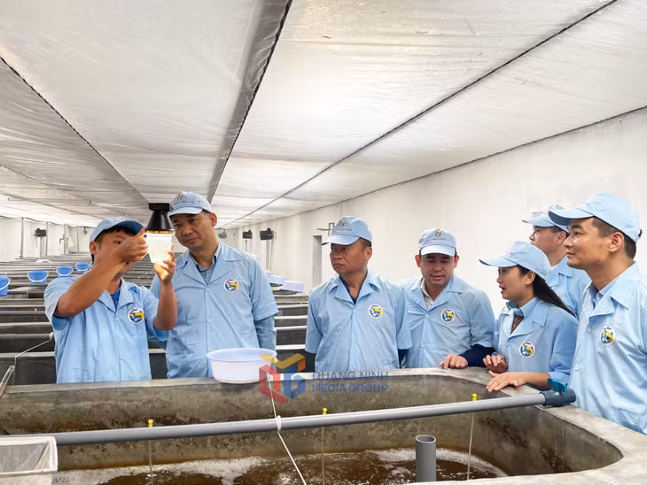 Khảo sát tại khu sản xuất tôm giống tại Khu phức hợp sản xuất tôm giống công nghệ cao tại xã Đầm Hà.