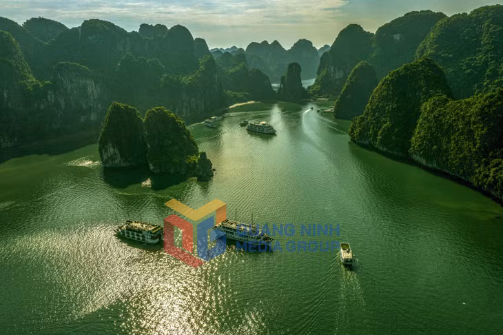 Hạ Long buổi ban mai. Ảnh: Dương Phương Đại
