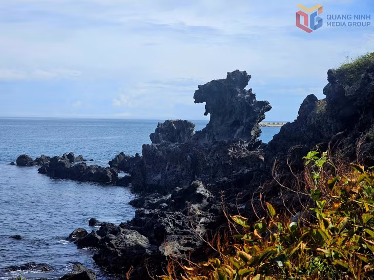 Đá đầu rồng Yongduam Rock với hình dáng độc đáo đã được công nhận di sản văn hoá ở Jeju.