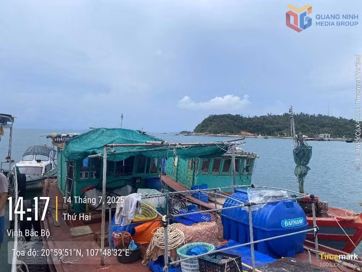 Tàu cá vi phạm trong vụ việc 13 tàu cá cố tình tháo thiết bị giám sát hành trình để khai thác thuỷ sản trái phép hiện đang bị Cơ quan Cảnh sát điều tra khởi tố vụ án hình sự và khởi tố bị can.