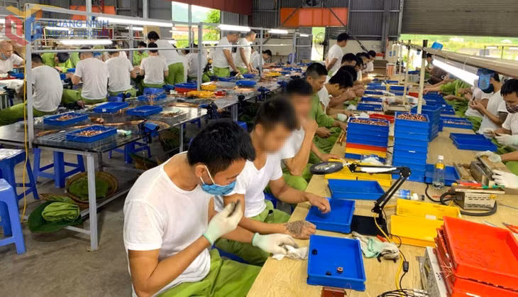 Học viên tham gia lao động trị liệu, được tạo điều kiện thực hành các nghề đã được học.