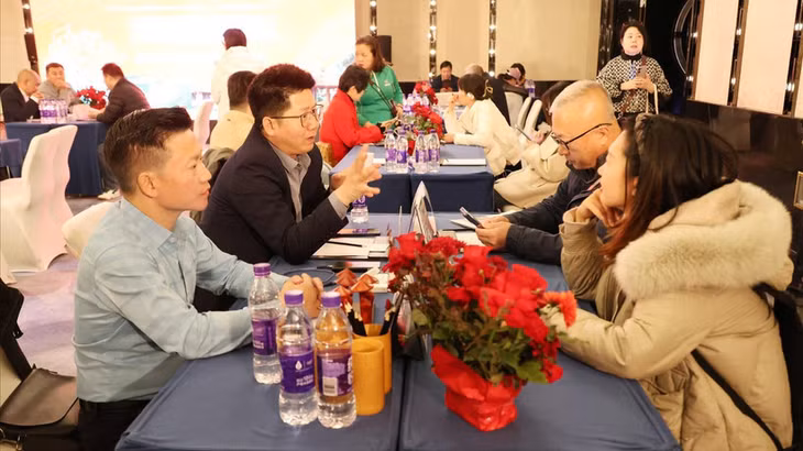Chương trình giới thiệu du lịch Việt Nam tại Trung Quốc kéo dài từ ngày 20-28/10, thu hút nhiều doanh nghiệp hai nước tham gia. (Ảnh: TTXVN)