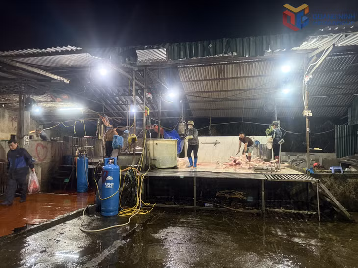 Điểm giết mổ gia súc của ông Nguyễn Hữu Viết tại Khu giết mổ tập trung tại phường Cao Xanh 
