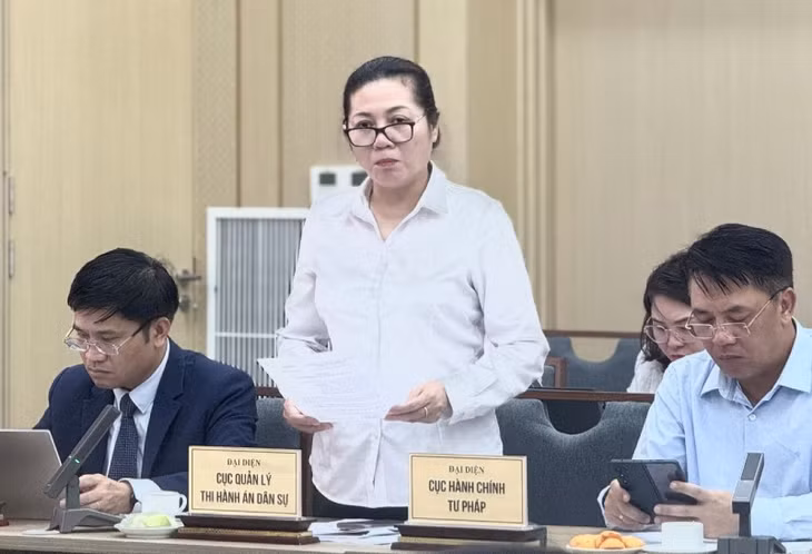 Bà Trần Thị Phương Hoa - Phó Cục trưởng Cục Quản lý Thi hành án dân sự. Ảnh: Trí Minh