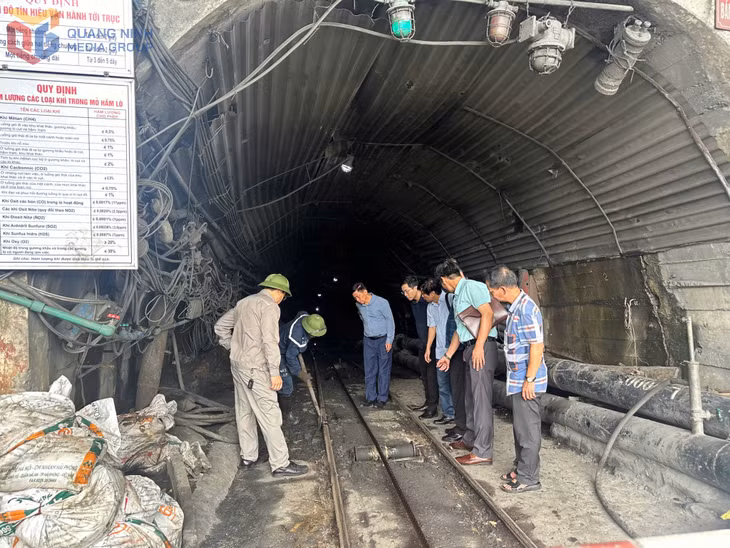 Ban Tổ chức hội thi khảo sát