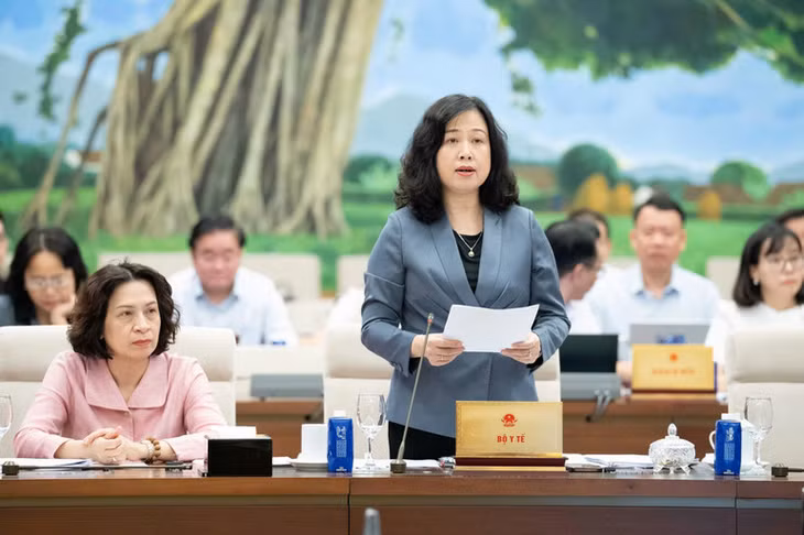 Bộ trưởng Y tế Đào Hồng Lan trình bày Tờ trình dự án Luật Dân số. (Ảnh: DUY LINH)