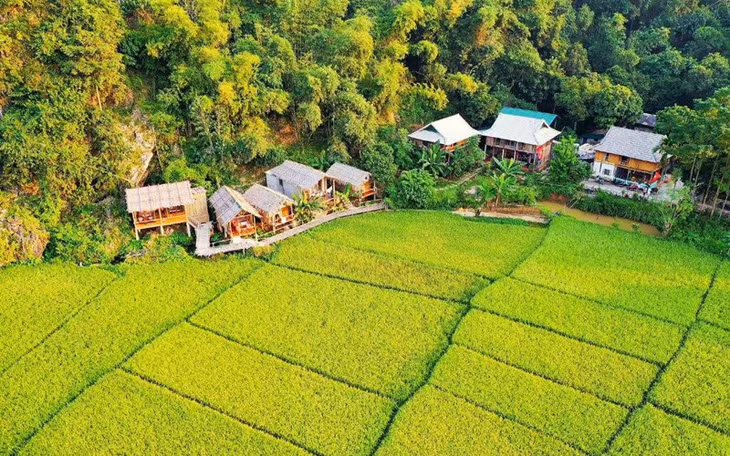 Du lịch xanh, du lịch bền vững đang trở thành xu hướng yêu thích của du khách Việt. (Ảnh: CTV)