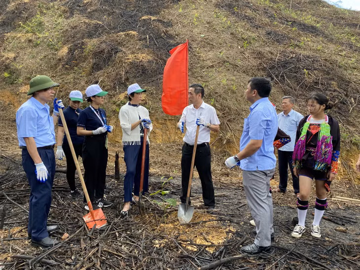 Tập đoàn Amata ủng hộ TP Móng Cái 11.000 cây giống giổi và lát để triển khai kế hoạch trồng rừng gỗ lớn năm 2022.