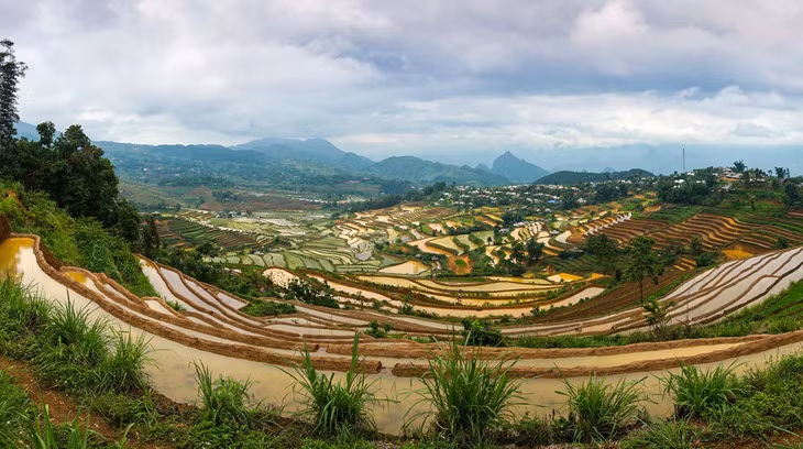 Lai Châu mùa nước đổ ảnh 1