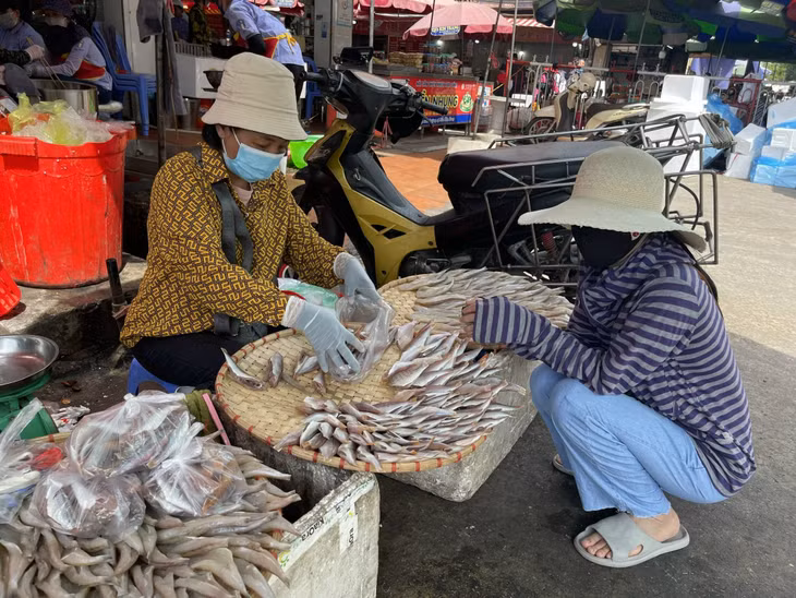 Theo một số tiểu thương, giá xăng, dầu tăng, nên giá thu mua hải sản có phần tăng nhẹ.
