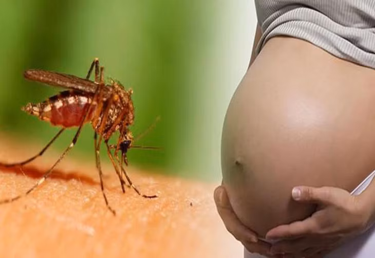 Cục Quản lý Khám, chữa bệnh đang xem xét phối hợp với Vụ Sức khỏe Bà mẹ-Trẻ em (Bộ Y tế) xây dựng hướng dẫn chẩn đoán, điều trị sốt xuất huyết cho đối tượng phụ nữ mang thai trình báo cáo lãnh đạo Bộ