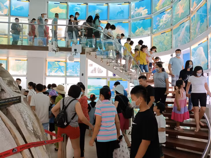Du khách đến tham quan Bảo tàng Quảng Ninh dịp cuối tuần.