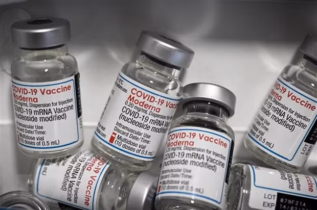 Moderna: Vaccine dac hieu chong bien the Omicron sinh mien dich tot hinh anh 1