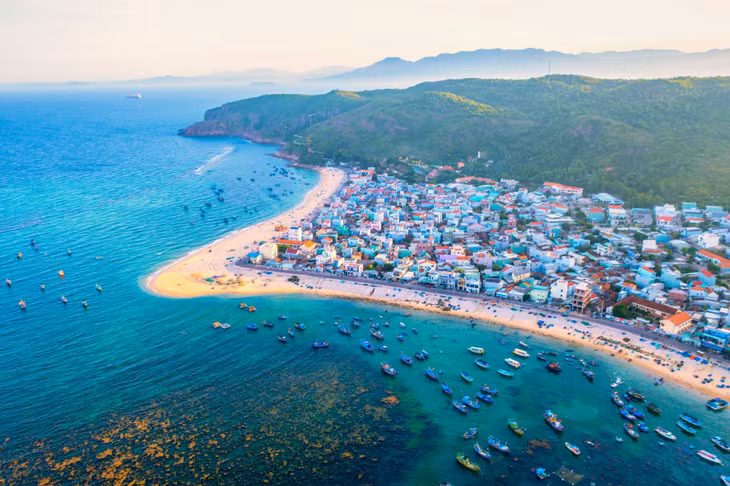 rong mo quy nhon anh 1