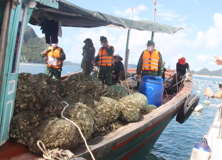 Qua kiểm tra, đoàn công tác đã phát hiện trường hợp một tàu tỉnh ngoài hết hạn đăng kiểm, người điều khiển không có đăng ký tạm trú và thực hiện nuôi trồng thủy sản ở vùng không quy hoạch.