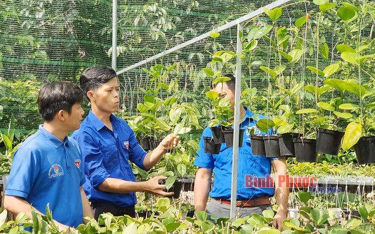 Anh Đỗ Văn Phúc giới thiệu về mô hình khởi nghiệp từ hoa cẩm cù với cán bộ Huyện đoàn Bù Gia Mập