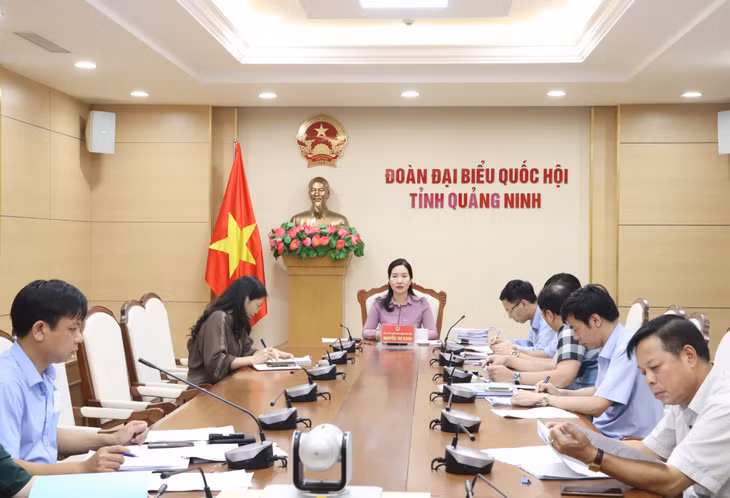 Đồng chí Nguyễn Thị Hạnh, Phó Chủ tịch UBND tỉnh phát biểu chỉ đạo tại cuộc họp.