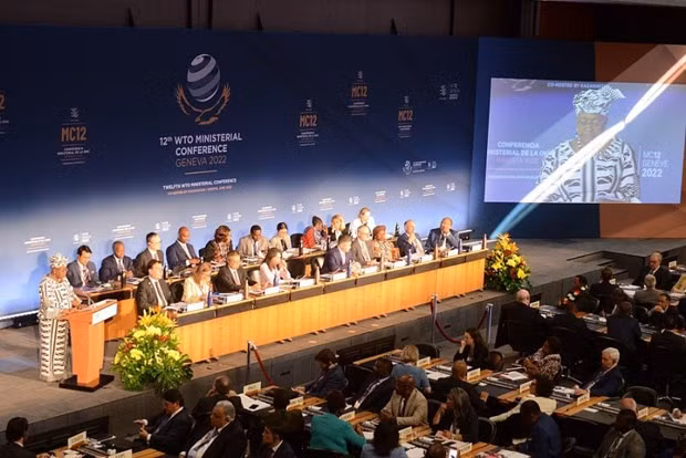 Viet Nam tham du Hoi nghi Bo truong WTO lan thu 12 tai Geneva hinh anh 2