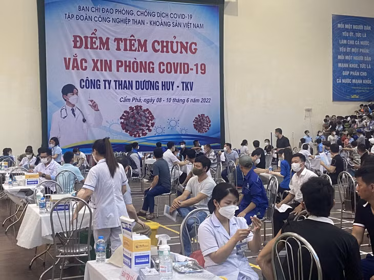 Công ty Than Dương Huy tổ chức tiêm vắc-xin phòng Covid-19 mũi 4 cho cán bộ, người lao động của công ty.