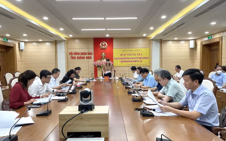 Đồng chí Vũ Thị Diệu Linh, Trưởng Ban Văn hóa - Xã hội, HĐND tỉnh, phát biểu kết luận cuộc họp.