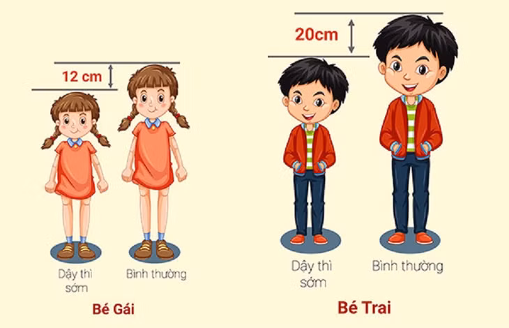 Hiện tượng dậy thì sớm ở trẻ xảy ra do hormone sản xuất làm thay đổi cả thể chất và sinh lý của trẻ - Ảnh Internet