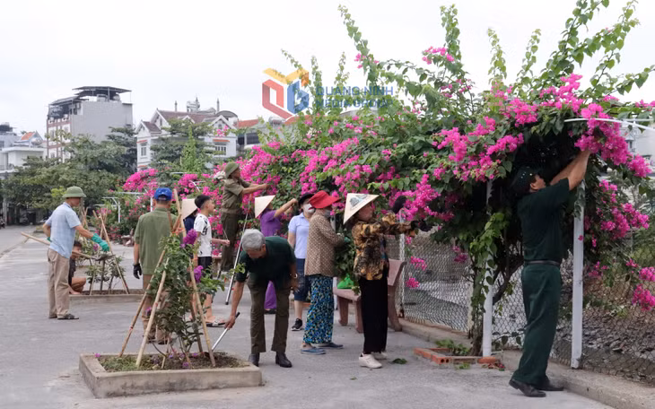 Nhân dân khu 8, phường Cao Xanh tập trung chỉnh trang các tuyến đường hoa kiểu mẫu trên địa bàn.
