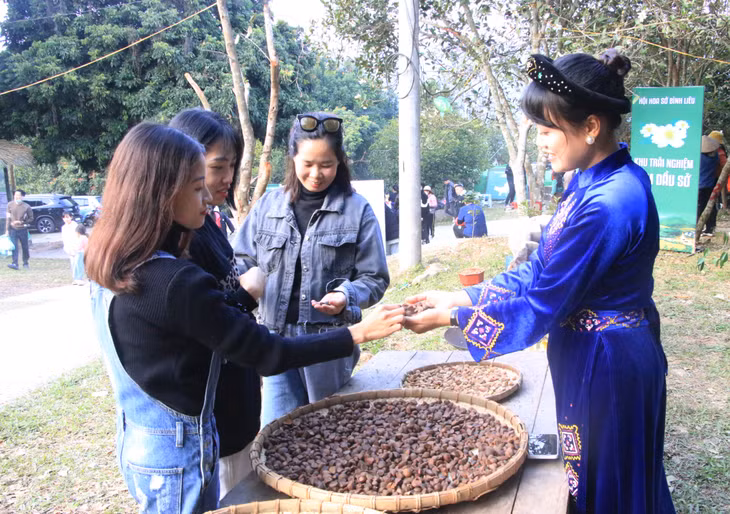 Trong khuôn khổ Hội hoa sở, du khách được người dân địa phương giới thiệu về cây sở, cách ép dầu sở...