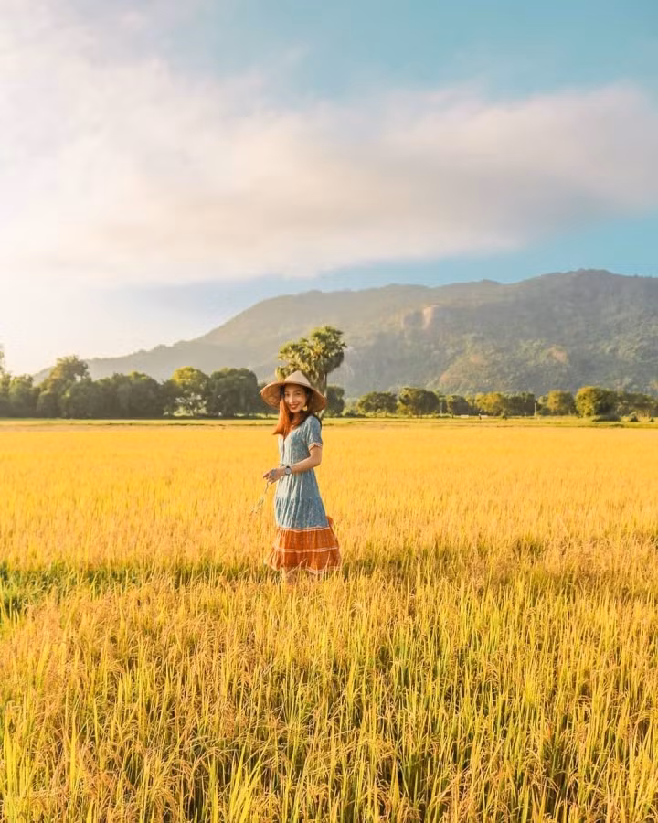 Cảnh đồng lúa mênh mông ở cánh đồng Tà Pạ tạo nên một phông nền chụp ảnh đầy thơ mộng. (Ảnh: nguyenngan.nd)