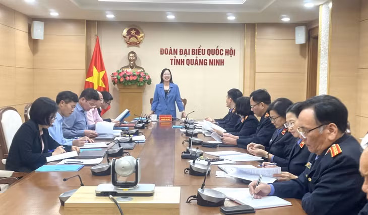 Đồng chí Nguyễn Thị Huệ, Trưởng Ban Pháp chế HĐND tỉnh phát biểu tại buổi làm việc.